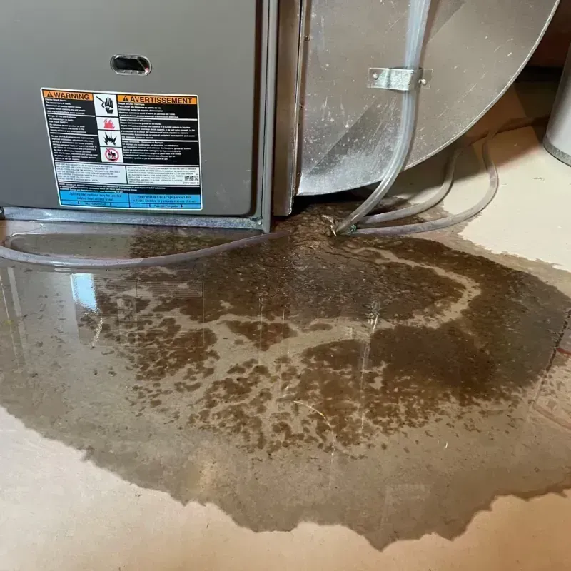 Appliance Leak Cleanup in Woodford County, KY